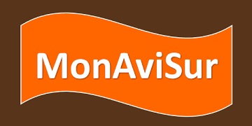 MonAviSur
